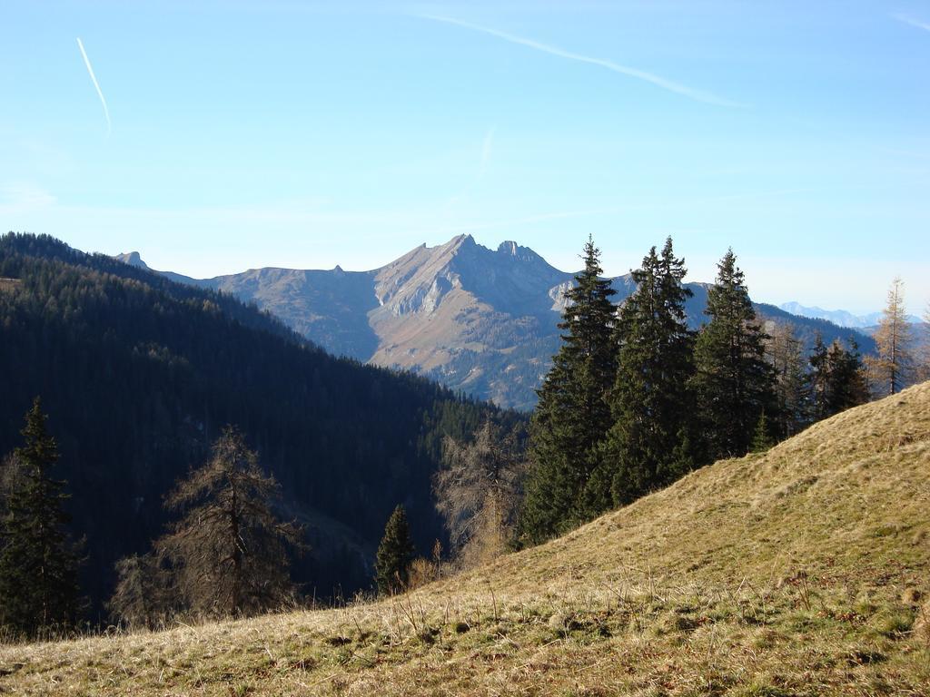 Appartementhaus Schuetzenhof Schied *